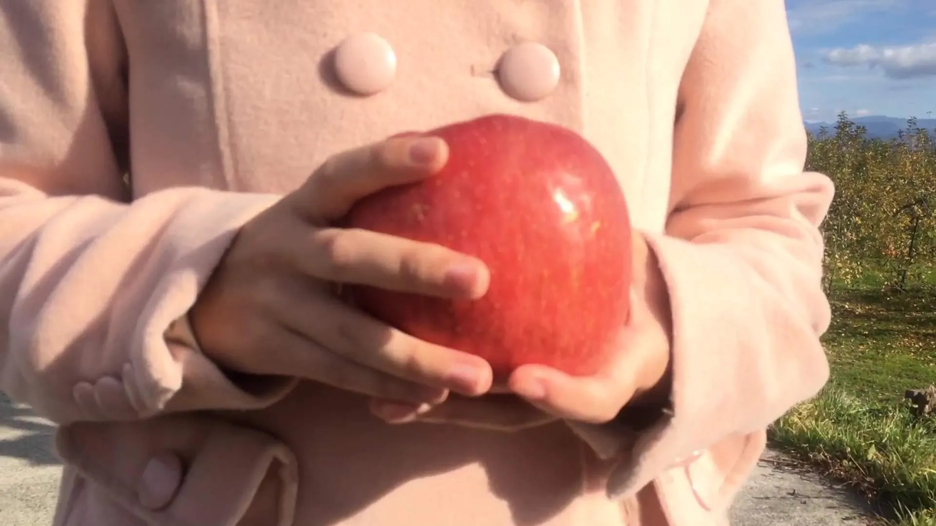 『ストリート・ラブ』場面カット⑤ りんご